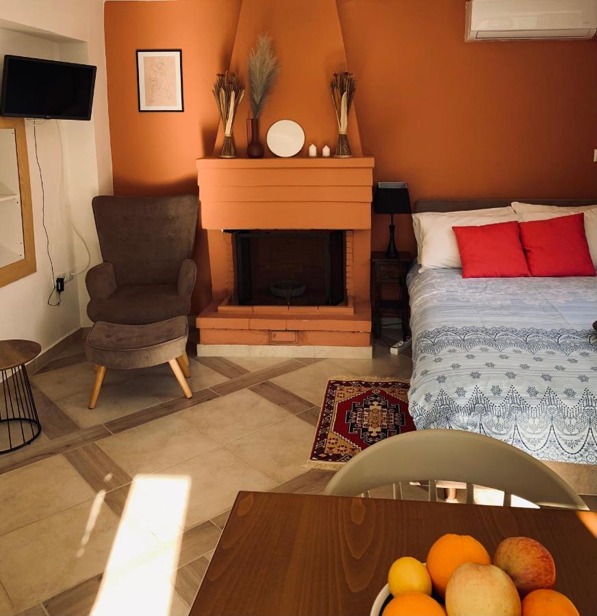 Zacharos Elegant Studio 利昂尼迪翁 外观 照片